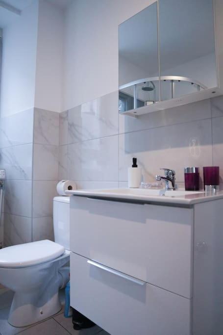 Appartement Entier, Proche Tram-Train Et Commodites, Parking Gratuit 뮐루즈 외부 사진