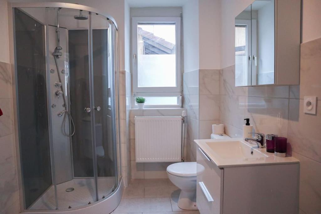Appartement Entier, Proche Tram-Train Et Commodites, Parking Gratuit 뮐루즈 외부 사진